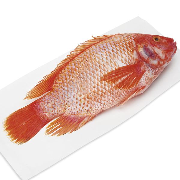 GreenWise Whole Tilapia, Fresh, Farmed, Sustainably Sourced 1 Ct