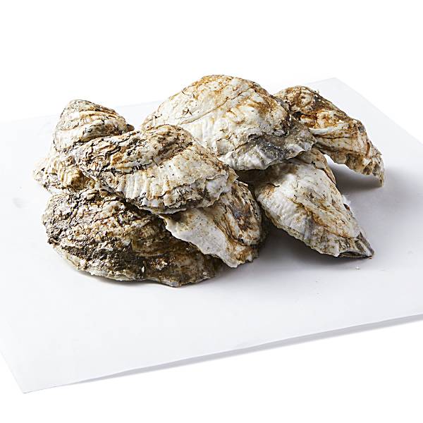 Hollywood Oysters, Shell On 1.35 Lbs