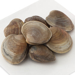 Topneck Clams Live, Wild Harvested 1.35 Lbs
