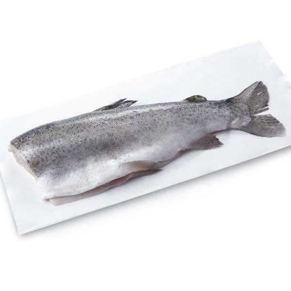 Rainbow Trout, Butterflied, Fresh, Farmed, Responsibly Sourced 1.5 Lbs