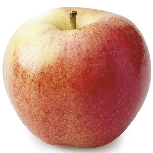 Large Gala Apples - lb